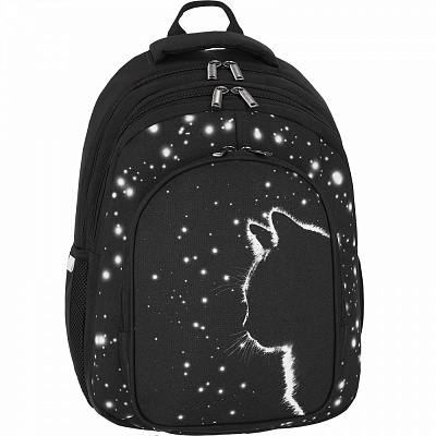 Рюкзак шкільний Bagland Black Cat 16 л 59166