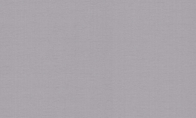 Обои виниловые на флизелиновой основе PROfhome РН 101 Р 09 1,06x10,05 м