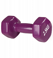 Гантель PowerPlay PP_4125_2.5kg 2,5 кг фиолетовый 