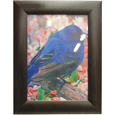 Фоторамка Темное венге 13x18 см