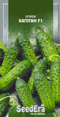 Насіння Seedera огірок Капітан F1 10 шт.