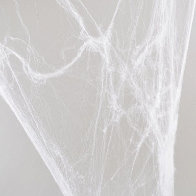 Набор декоративный Паутина белая с двумя паучками 40 г 973370 YES