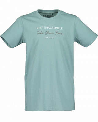 Футболка дитячі Blue Seven р.164 сірий 602770 X_631_р.164