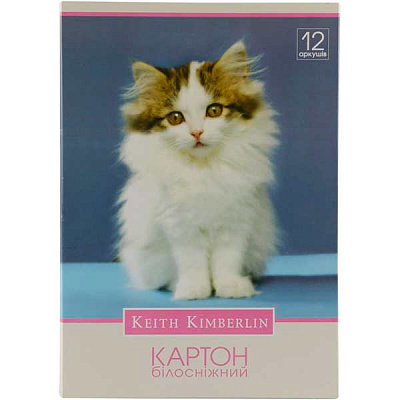 Картон А4 12 листов белоснежный