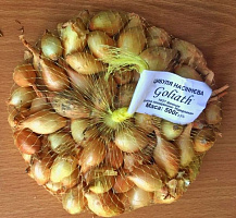 Семена лук-севок Goliat 10/21 0,5 кг 