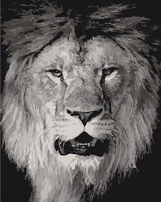 Картина за номерами Big Boss 11611-AC 40х50 см ArtCraft