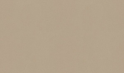 Обои виниловые горячего тиснения Erismann Josepha 5139-14 1,06x10,06 м 