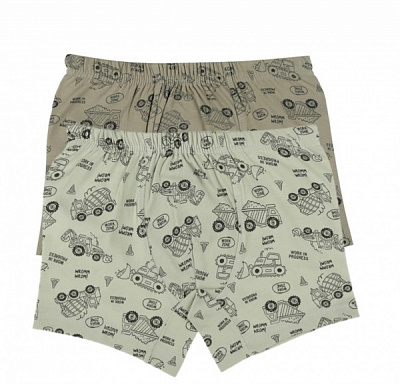 Трусы для мальчика Donella 75921 р.98-104 в ассортименте 