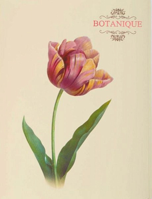 Папка с файлами A4 Botanique L6186 LEO