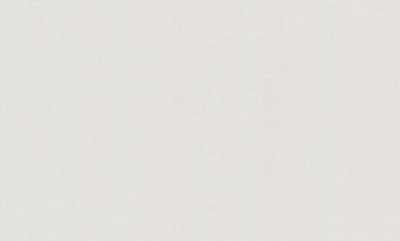 Шпалери вінілові на флізеліновій основі WallCOLOR W 150 C 00 1,06x10,05 м