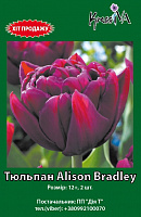 Луковица тюльпан Alison Bradley 2 шт. 