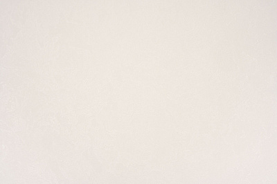 Шпалери вінілові на флізеліновій основі Слов'янські шпалери Le Grand platinum Терра 1704-02 1,06x10,05 м