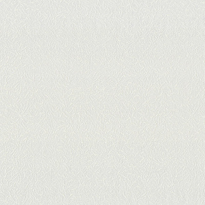 Шпалери зі спіненого вінілу Vinil Vinil Есмеральда ДХН-1253/1 1,06x10,05 м