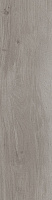 Плитка Allore Group Woodstock Grey F PR R Mat (76,68) 22,5x90 