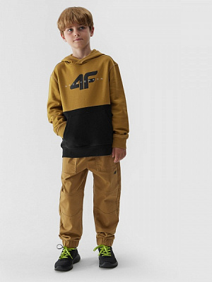 Джемпер 4F SWEATSHIRT M628 4FJAW23TSWSM628-74S коричневый