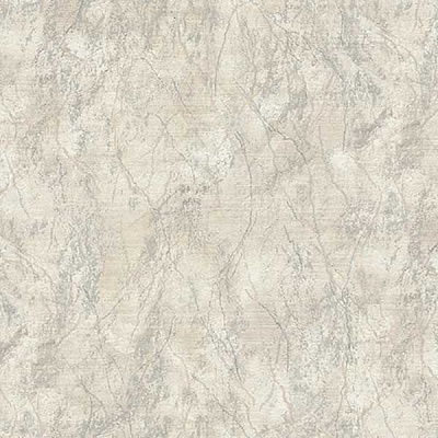 Шпалери Vinil Арона ТФШ4-1279