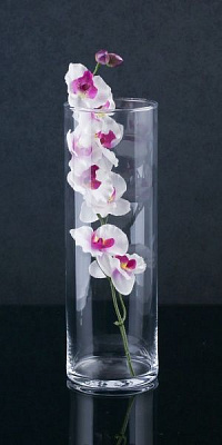 Ваза циліндр 10х30 см Wrzesniak Glassworks