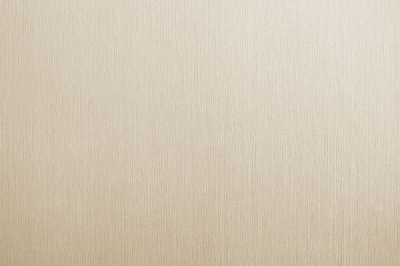 Обои виниловые на флизелиновой основе Bravo 81181BR23 1,06x10,05 м