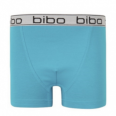 Трусики-боксери для хлопчиків Bibo р.110 блакитний 24049