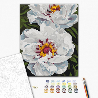 Картина за номерами Біле сяйво © Анастасія Альохіна 40х50 см Brushme