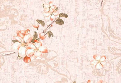 Обои бумажные Славянские обои COLORIT Адонис 8144-02 0,53x10,05 м