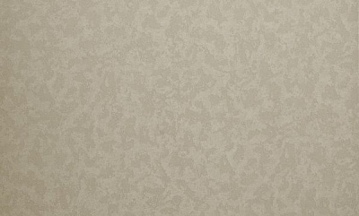 Обои виниловые на флизелиновой основе MEGAPOLIS 9181-19 1,06x10,05 м