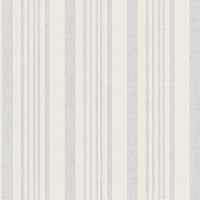 Шпалери під фарбування A.S. Creation MV 4 PRO 5813-10