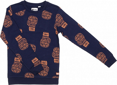 Джемпер для мальчика NWM Бокс р.158 синий с принтом U44230-1 