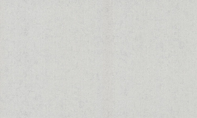 Обои виниловые на флизелиновой основе Bravo SIMPLE 516SP11 1,06x10,05 м