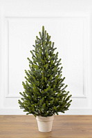 Искусственная елка Полярная 1,10 м Весенняя в горшке зеленыйSiga Group