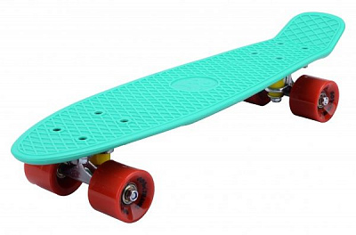 Пеніборд GO Travel LS-P2206GRS 56 см зелений