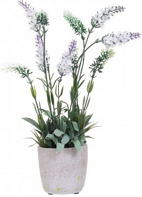 Композиция Лаванда