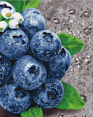 Картина по номерам Сочные плоды Идейка 