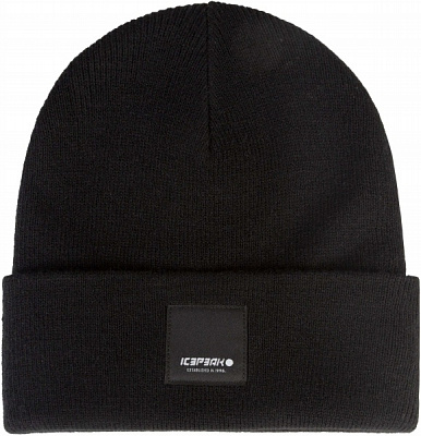 Шапка Icepeak HARCOURT 58808_850_I_990 р.one size черный