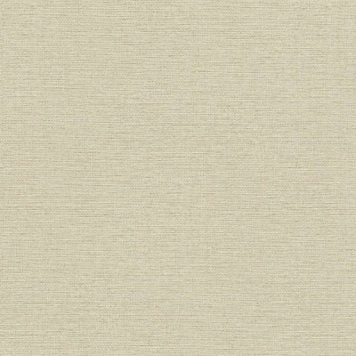 Обои виниловые на флизелиновой основе RASCH Jolly 970630 1,06x10,05 м 