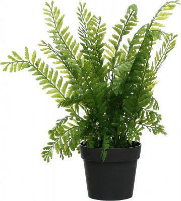Рослина штучна Папороть Оноклея PFC(NL)-968