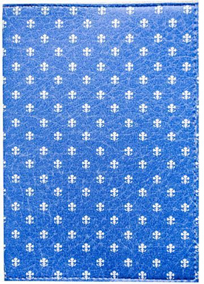 Обложка для паспорта Геральдика Just Cover