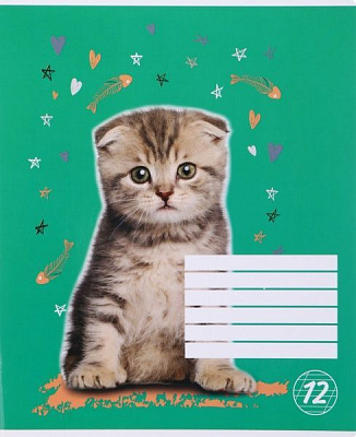 Тетрадь школьная 12 листов в косую линию зеленый Мечты сбываются