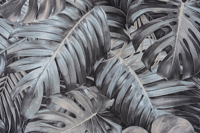 Обои дуплекс Славянские обои KOLORIT 5265-10 0,53x10,05 м