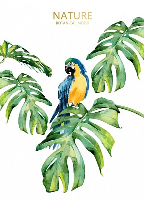 Картина на полотні Тропікана (без рами) 55x80 см ТЕРРАВОЛ