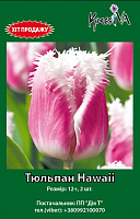 Цибулини тюльпана Hawaii, 2 шт  упак.
