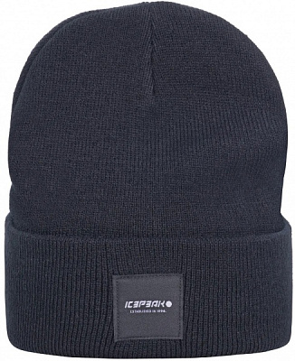 Шапка Icepeak HARCOURT 58808_850_IV2_990 р.one size черный