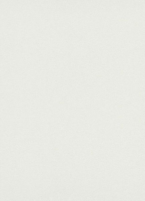 Шпалери вінілові на флізеліновій основі Erismann Mix collection 02403-30 0,53x10,05 м