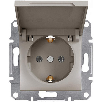 Розетка с заземлением Schneider Electric Asfora 16 А 250 В с крышкой бронзовый EPH3100169