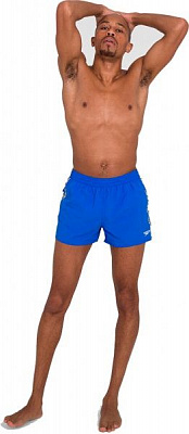 Шорты Speedo Retro 13