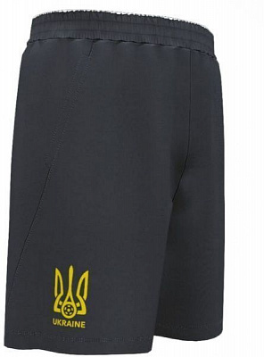 Шорти Joma FOOTBALL UKRAINE AT102369B331 р. L сірий