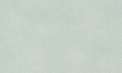 Шпалери вінілові на флізеліновій основі RASCH Fiesta 973037 1,06x10,05 м