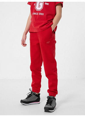Штани 4F TROUSERS JSPDD002 HJZ22-JSPDD002-62S р. 128 червоний