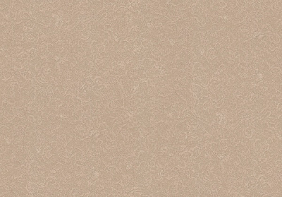 Шпалери вінілові на флізеліновій основі Vinil Домінік ЭШТ4-0997 1,06x10,05 м