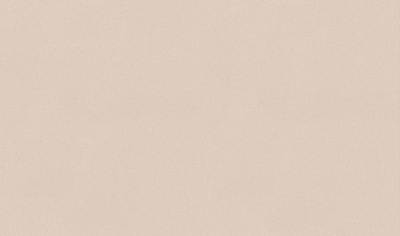 Шпалери вінілові гарячого тиснення Erismann Josepha 5139-26 1,06x10,06 м